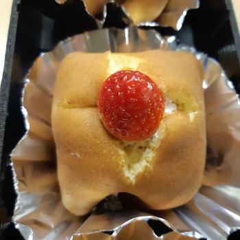 次回催事日程 更新日